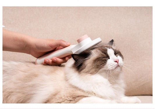 The Cat Grooming Guide: A Meowst Read