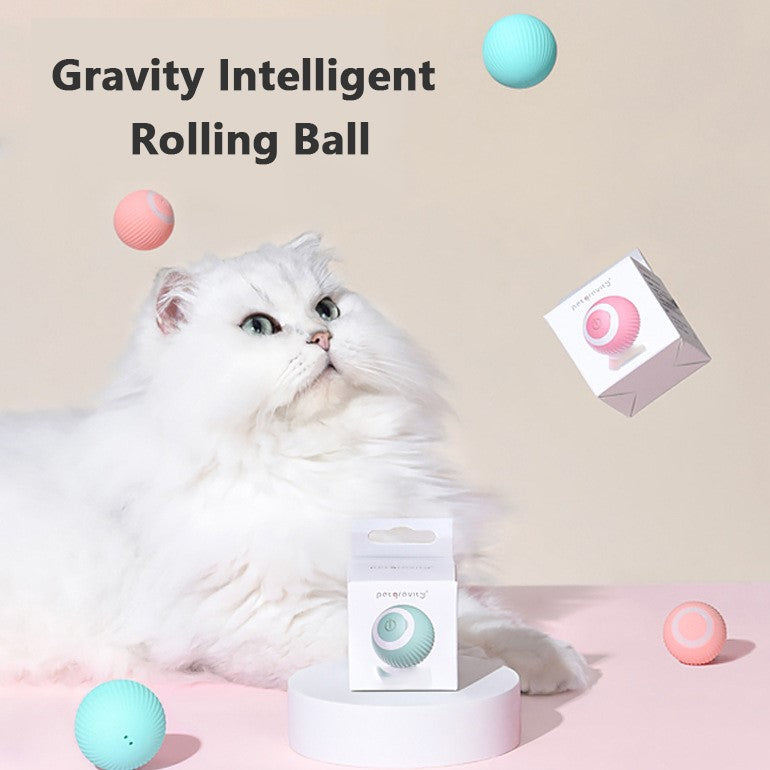 Smart Cat Ball