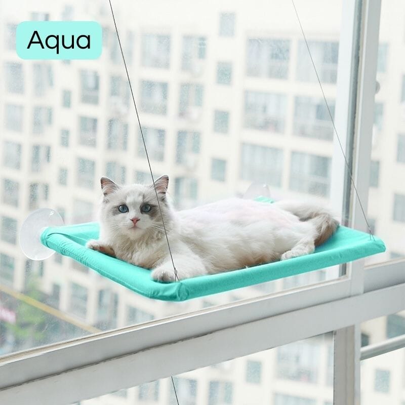 Cat Window Bed Beds catzviral Aqua 