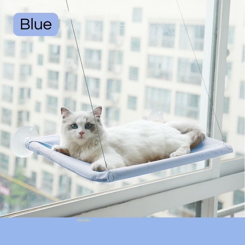 Cat Window Bed Beds catzviral Blue 