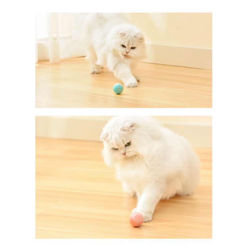 Smart Cat Ball