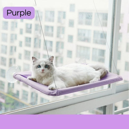 Cat Window Bed Beds catzviral Purple 