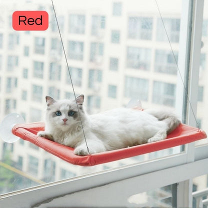 Cat Window Bed Beds catzviral Red 