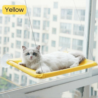 Cat Window Bed Beds catzviral Yellow 